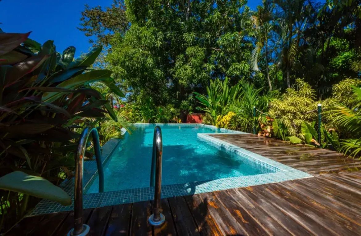 Piscine entourée de plantes tropicales et d'une terrasse en bois sous un ciel bleu.