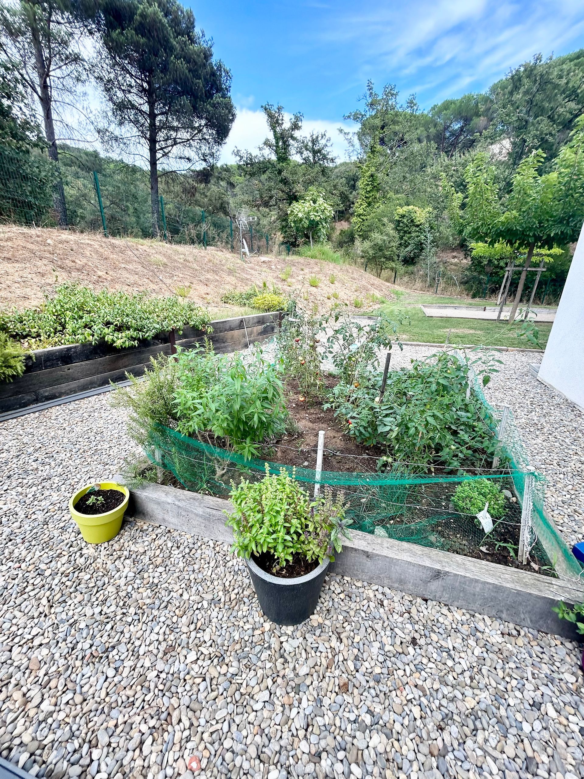 Un parterre de fleurs verdoyant, un chemin de gravier et un ciel bleu.