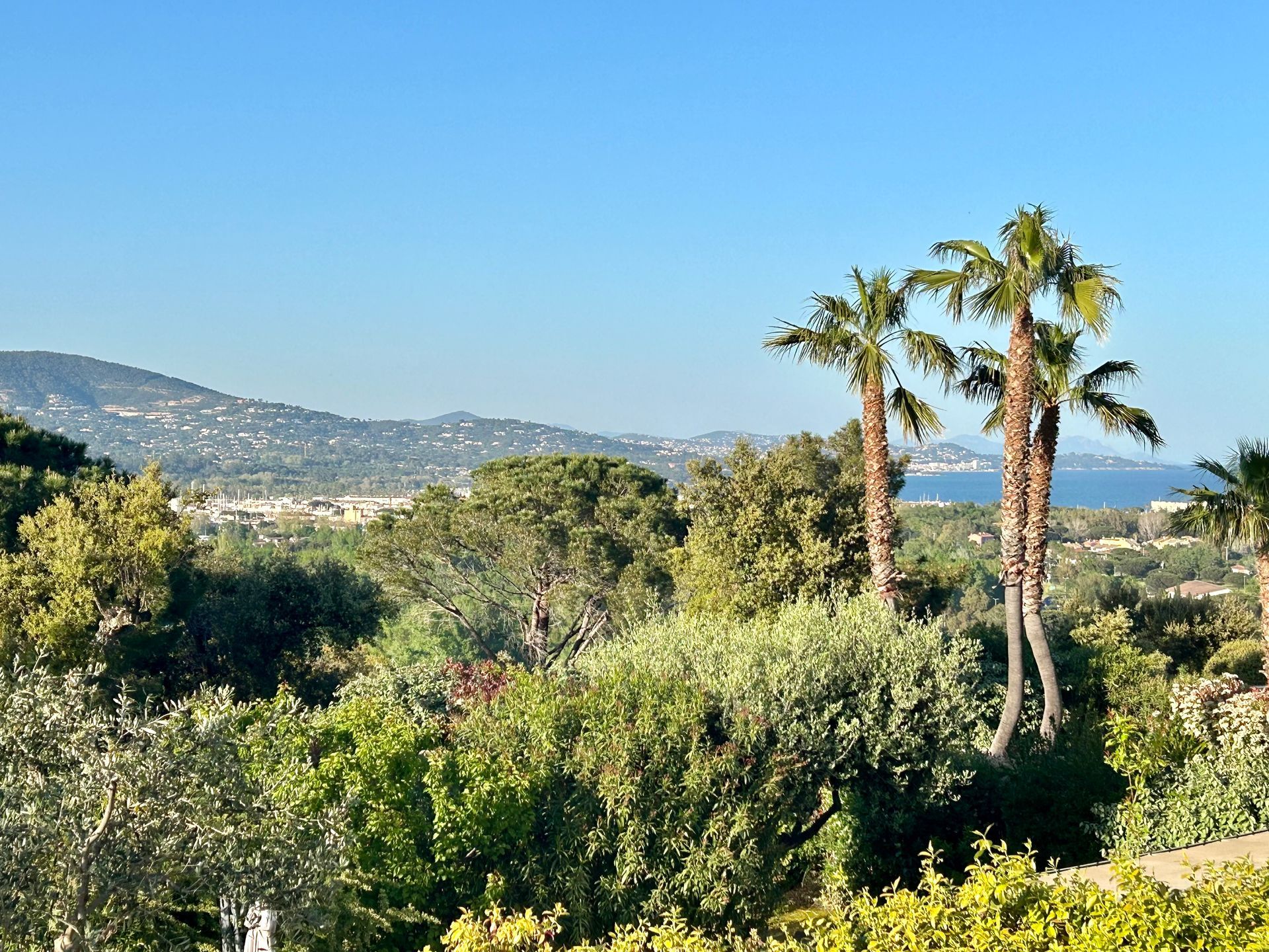 Vue d'un paysage côtier avec des palmiers, de la verdure, des bâtiments et une étendue d'eau sous un ciel bleu.