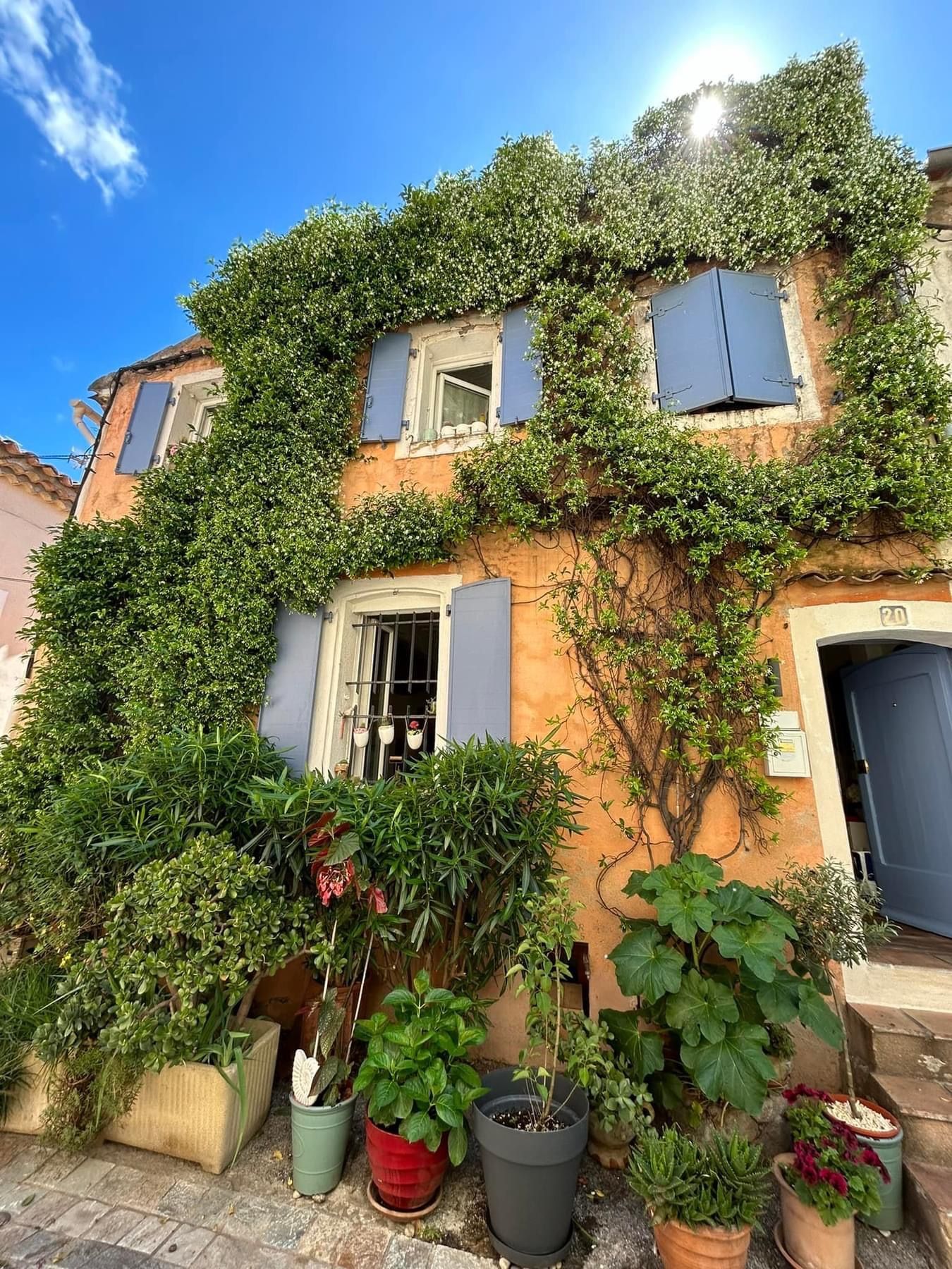 Maison en pierre aux volets bleus, recouverte d'une végétation luxuriante, entourée de plantes en pot sous un ciel ensoleillé.