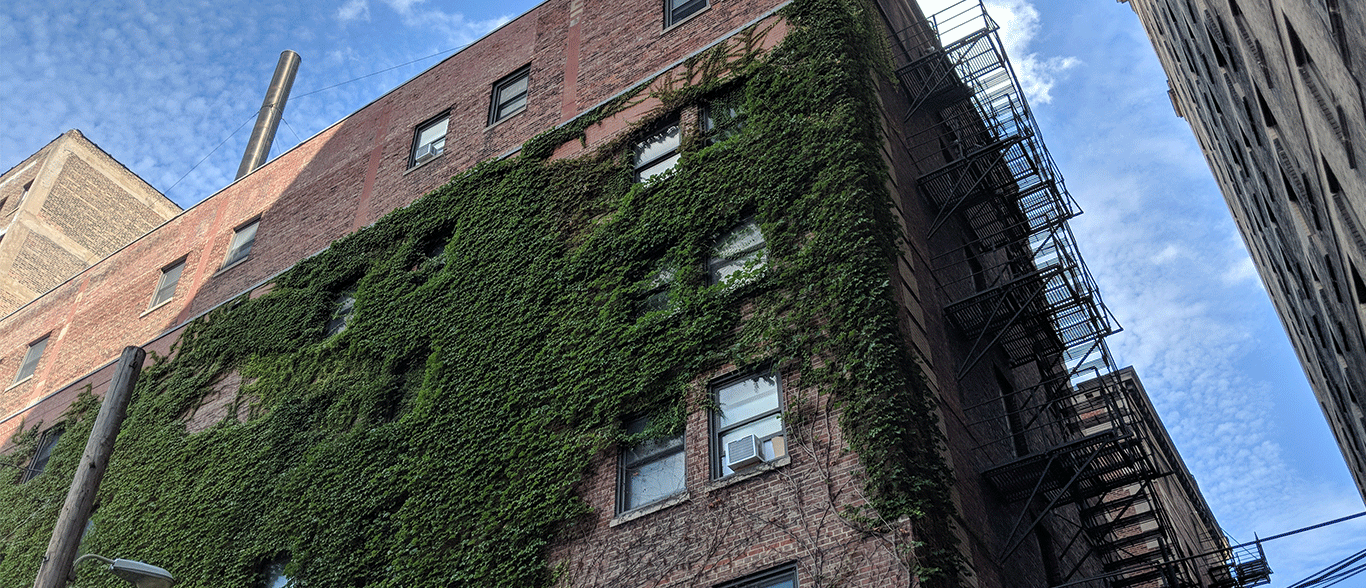 A brick building with ivy growing on the side of it.