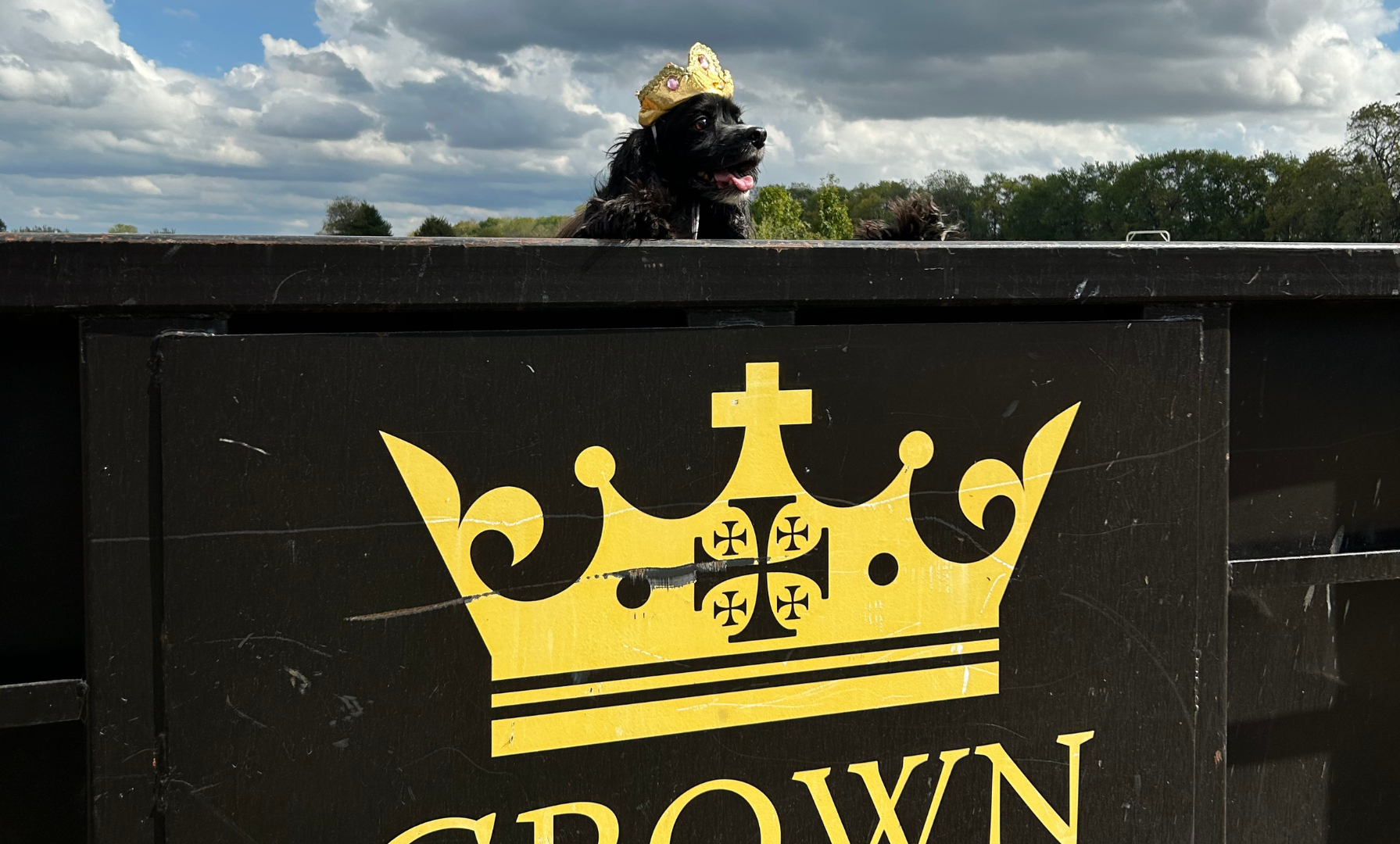 Black dog wearing a golden crown, peeking over a black wall with a gold crown logo.