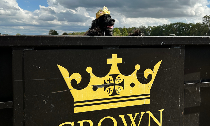 Black dog wearing a gold crown atop a black sign with a gold crown logo. Cloudy sky in background.