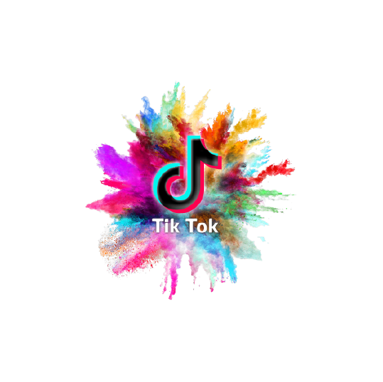icona tiktok footer