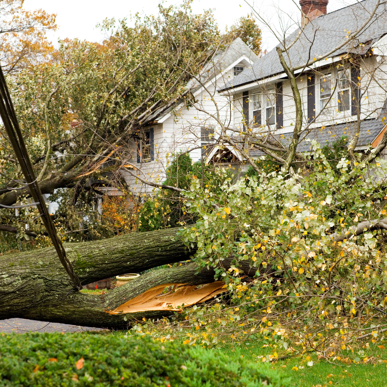 Sell Your Damaged House Fast for Cash in Iowa and Illinois