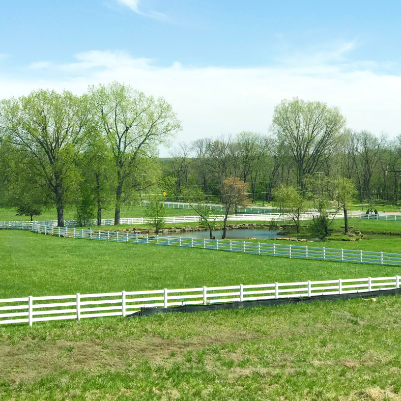 We Buy Land for Cash in Iowa and Illinois