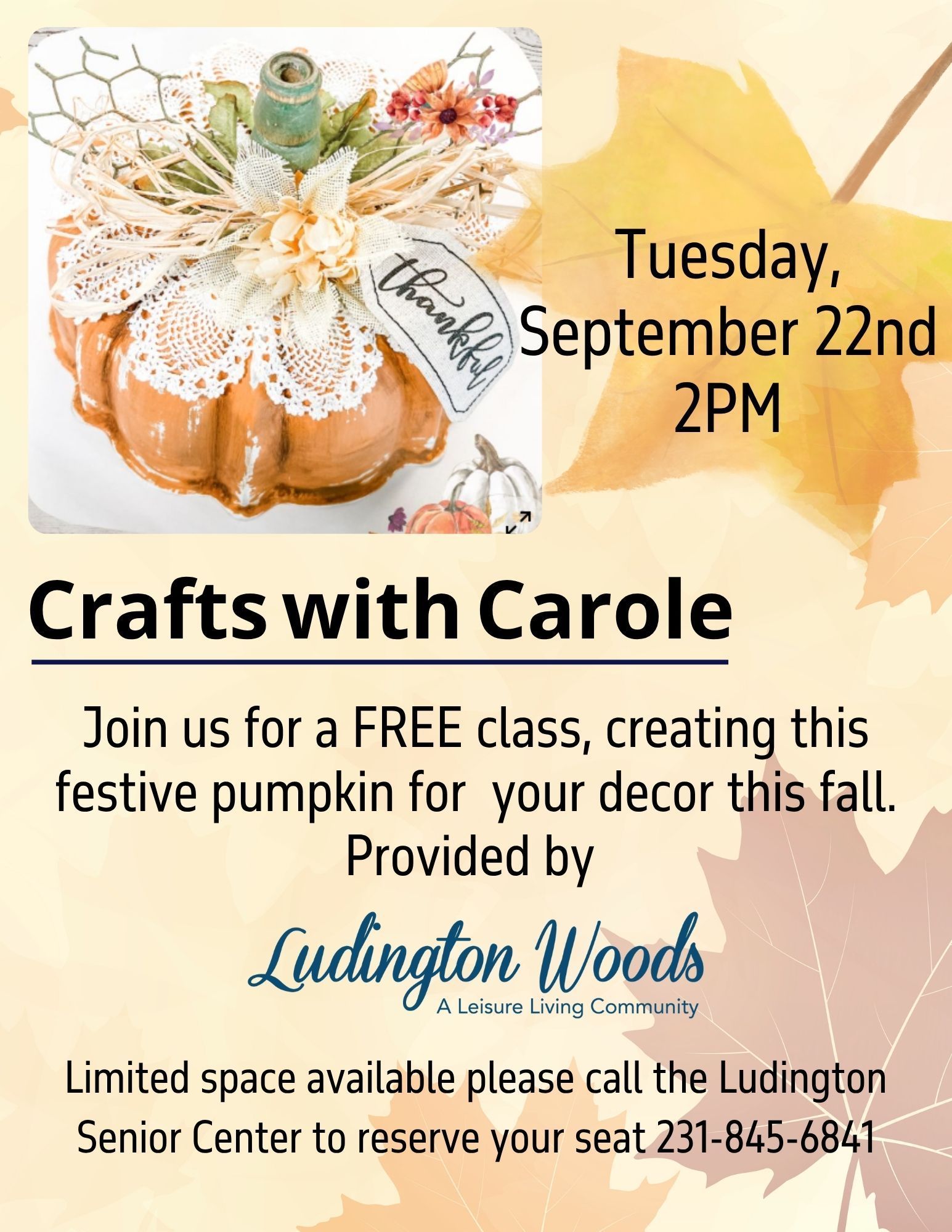 Flyer for Crafts with Carole