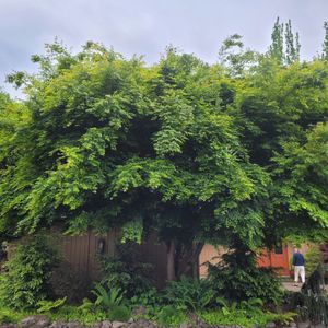 1906681_8055