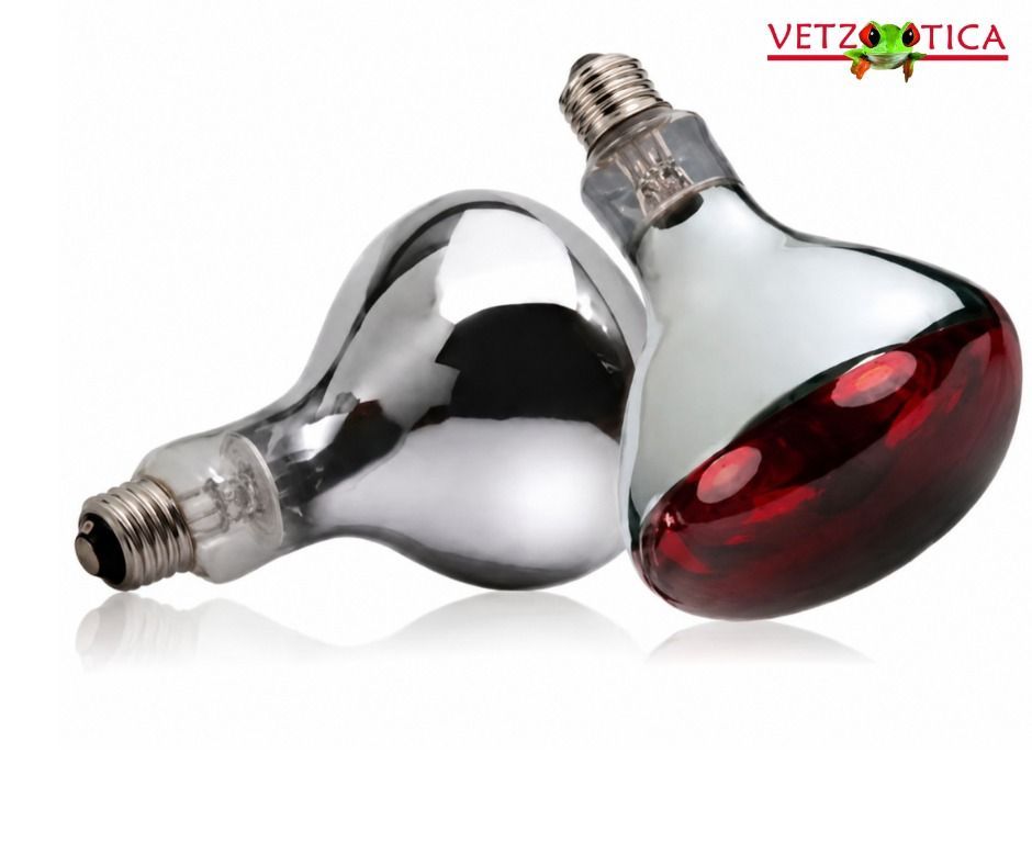 Dos recipientes de vidrio con forma de bombilla, uno transparente y otro de color rojo, sobre un fondo blanco.