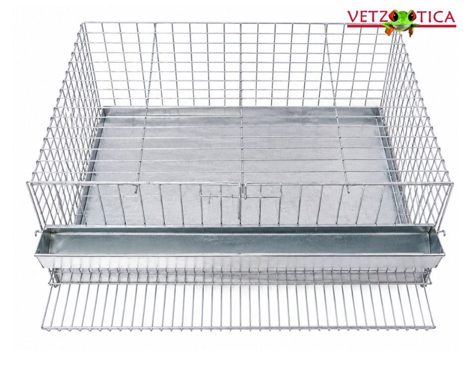 Jaula para mascotas de alambre metálico con base de plástico transparente