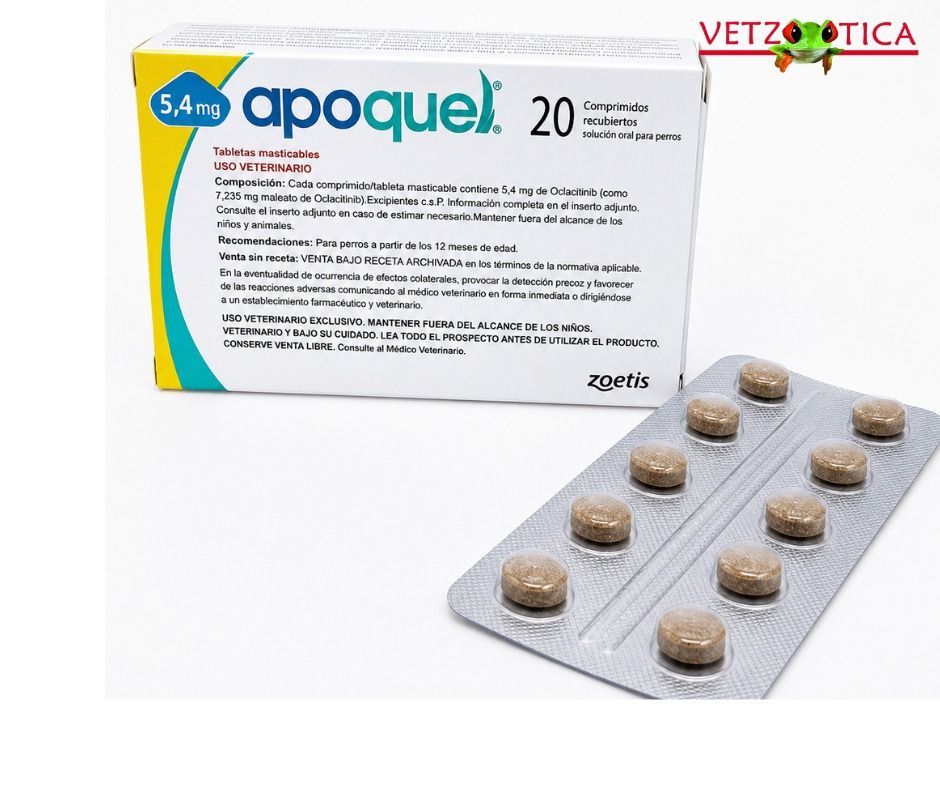 Caja de medicamento veterinario Apoquel de 16 mg y 100 mg con comprimidos envasados ​​en blíster sobre fondo blanco.