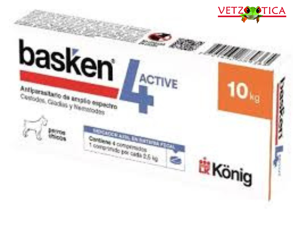 Basken 4 Active