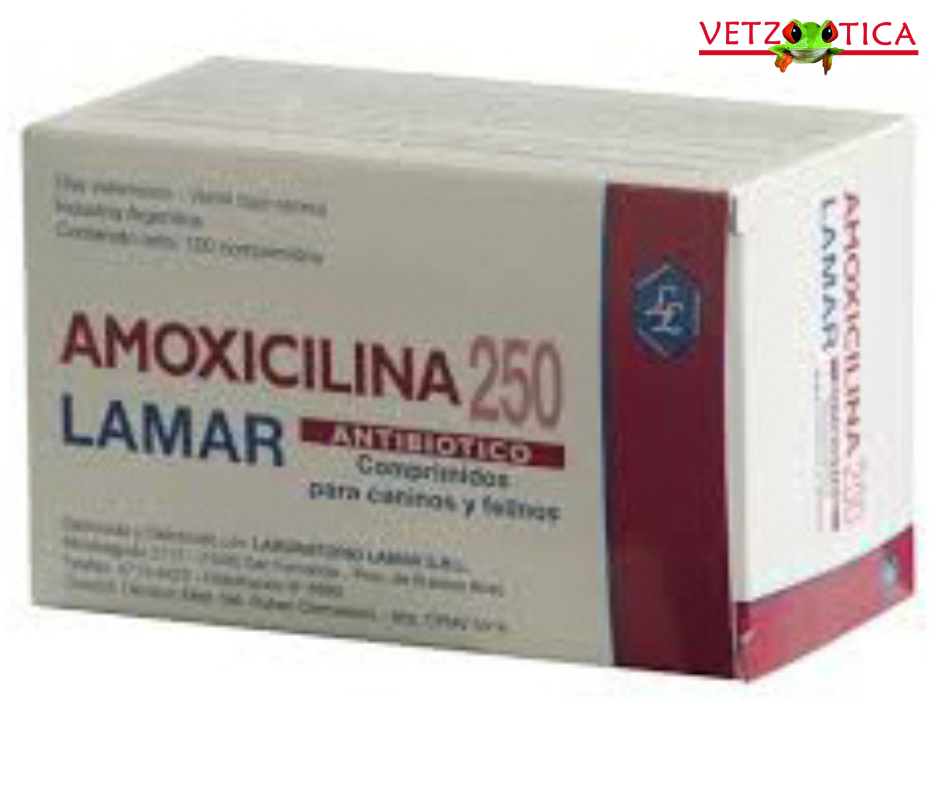Amoxicilina Lamar Comprimidos – 100 mg, 250 mg y 500 mg por Blister