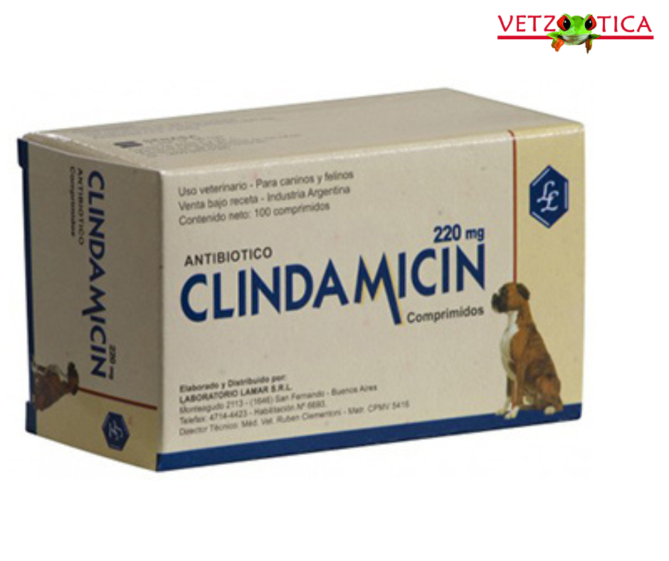 Clindamicin Lamar Comprimidos – 110 mg y 220 mg Blister