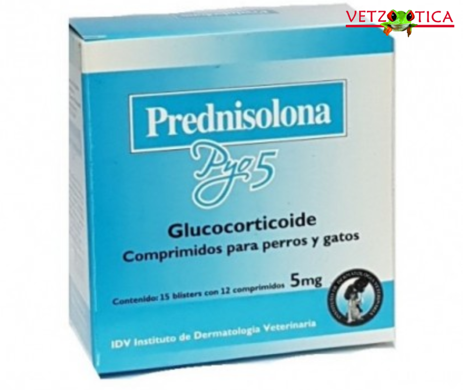 Prednisolona PYO – 5 mg, 10 mg, 20 mg y 40 mg