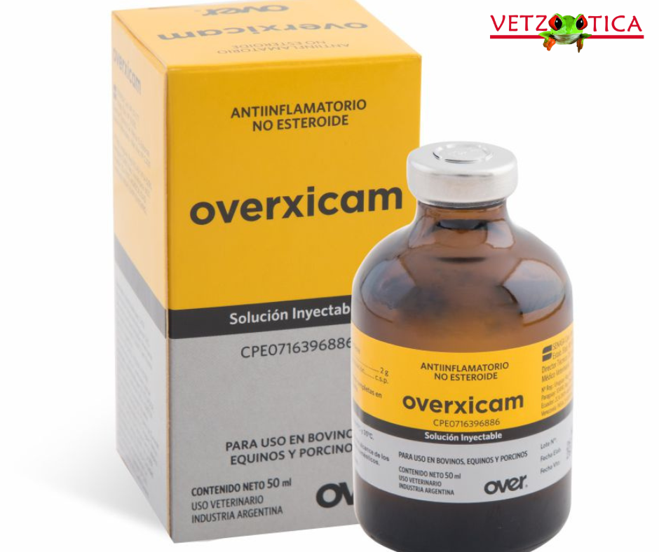 Overxicam® – Antiinflamatorio Inyectable