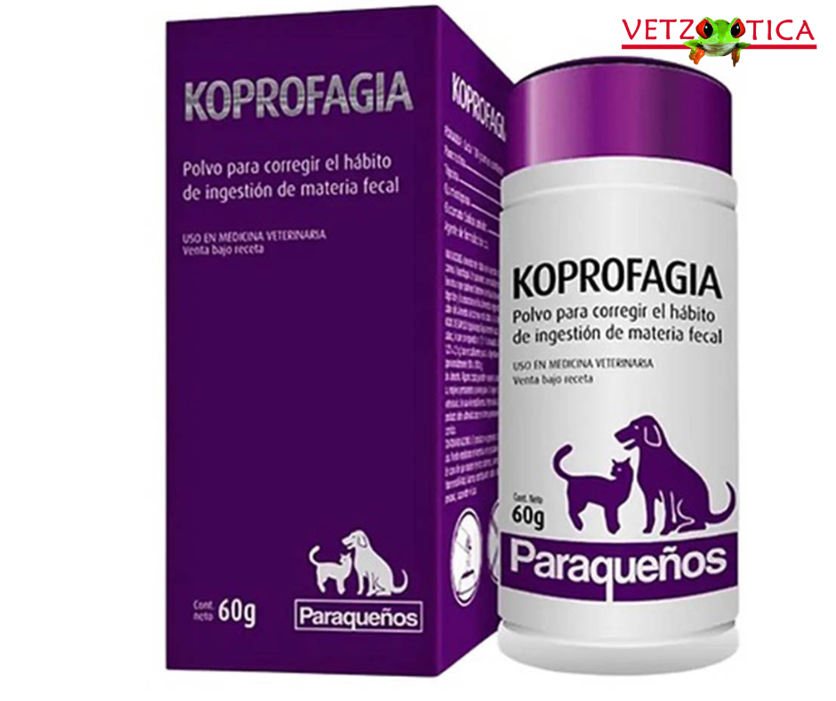 Koprofagia Polvo 60