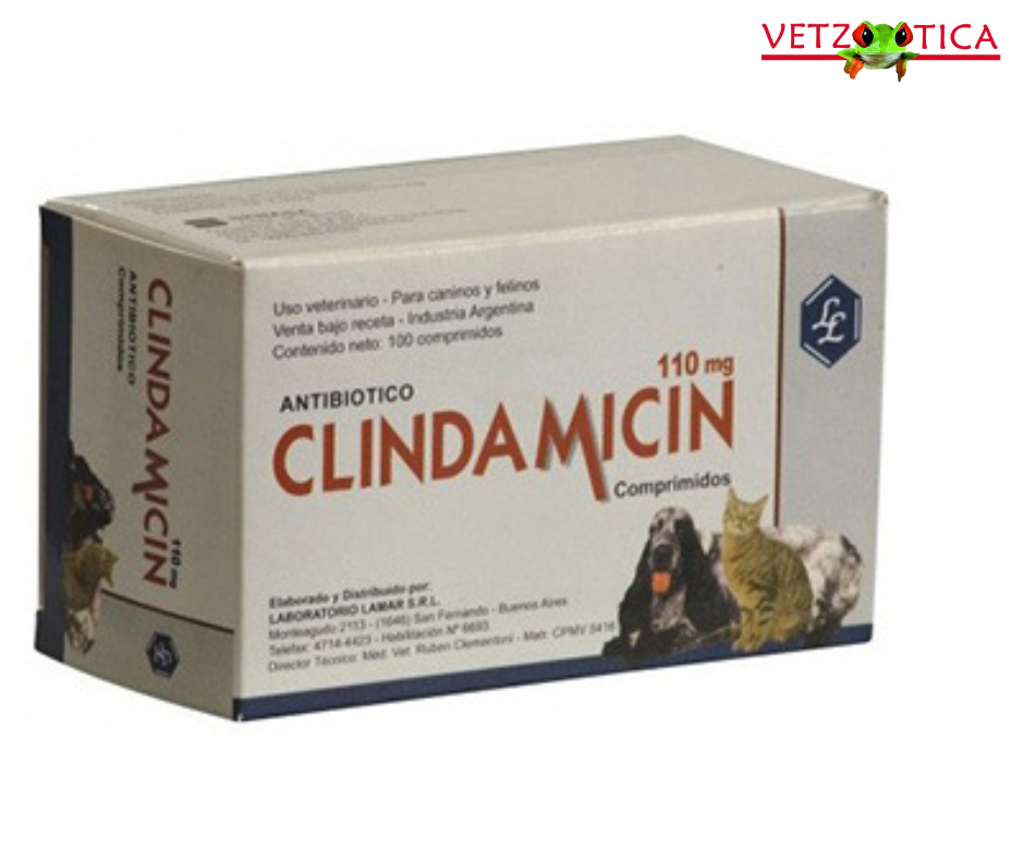 Clindamicin Lamar Comprimidos – 110 mg y 220 mg Blister