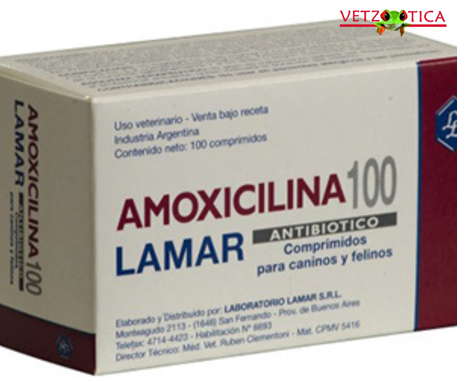 Amoxicilina Lamar Comprimidos – 100 mg, 250 mg y 500 mg por Blister