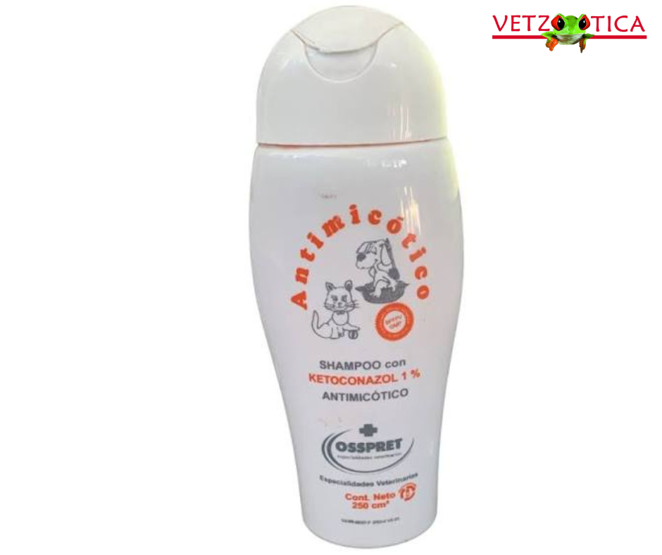 Shampoo Osspret® Ketoconazol 1% – Antimicótico