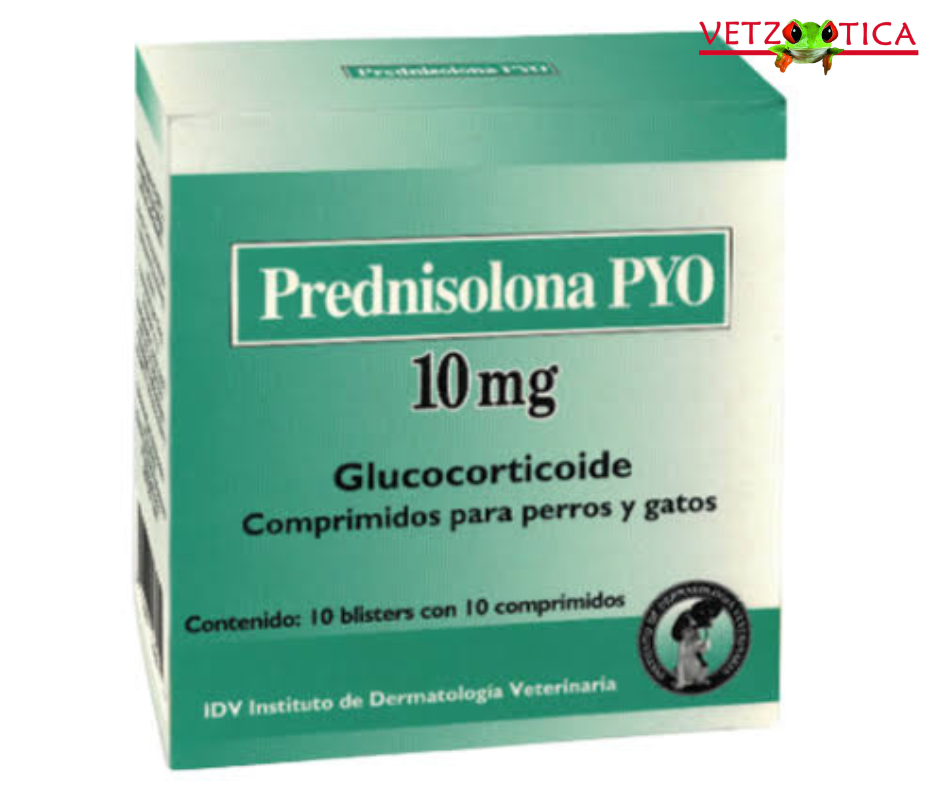 Prednisolona PYO – 5 mg, 10 mg, 20 mg y 40 mg