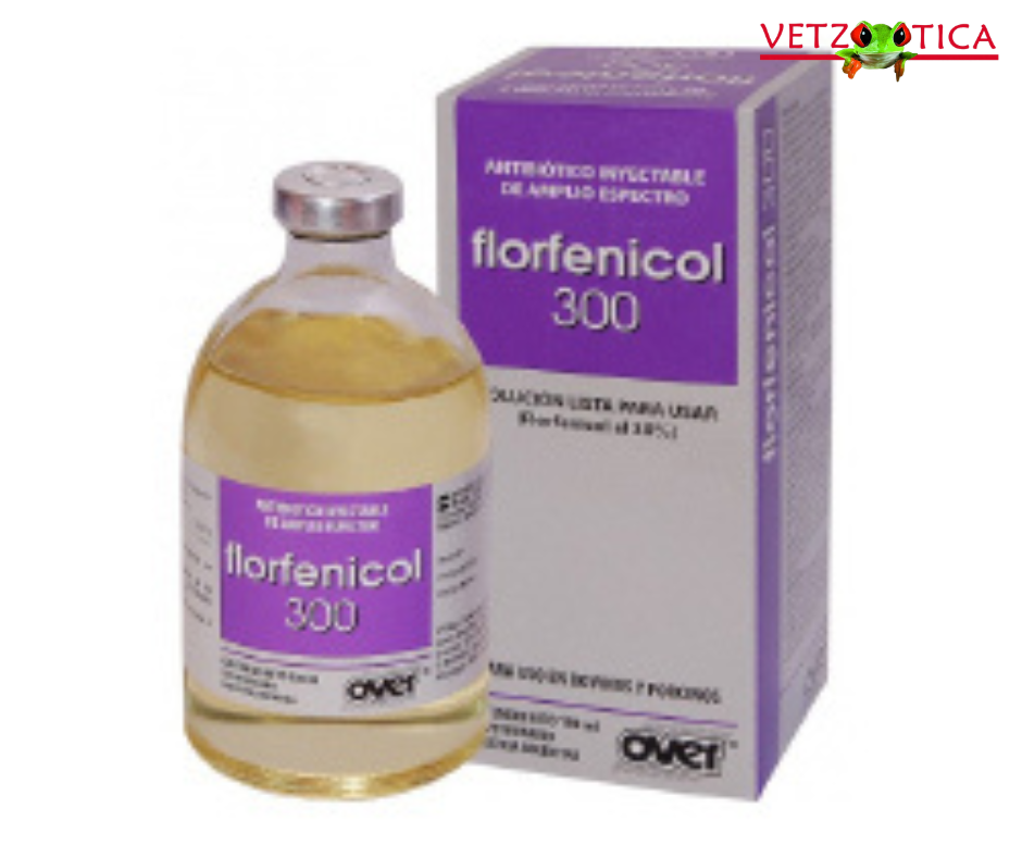 Florfenicol 300 Over