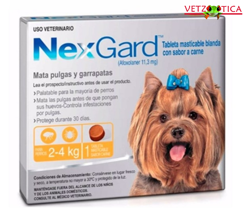 Nexgard Comprimido