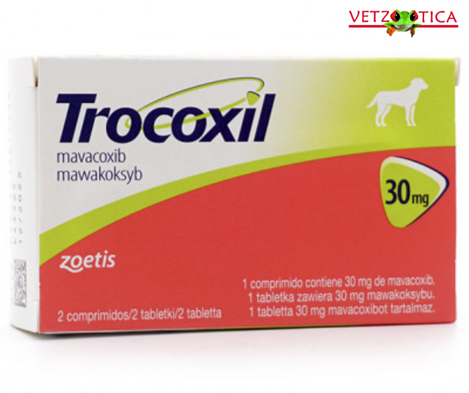 Trocoxil® – Antiinflamatorio de Acción Prolongada para Perros