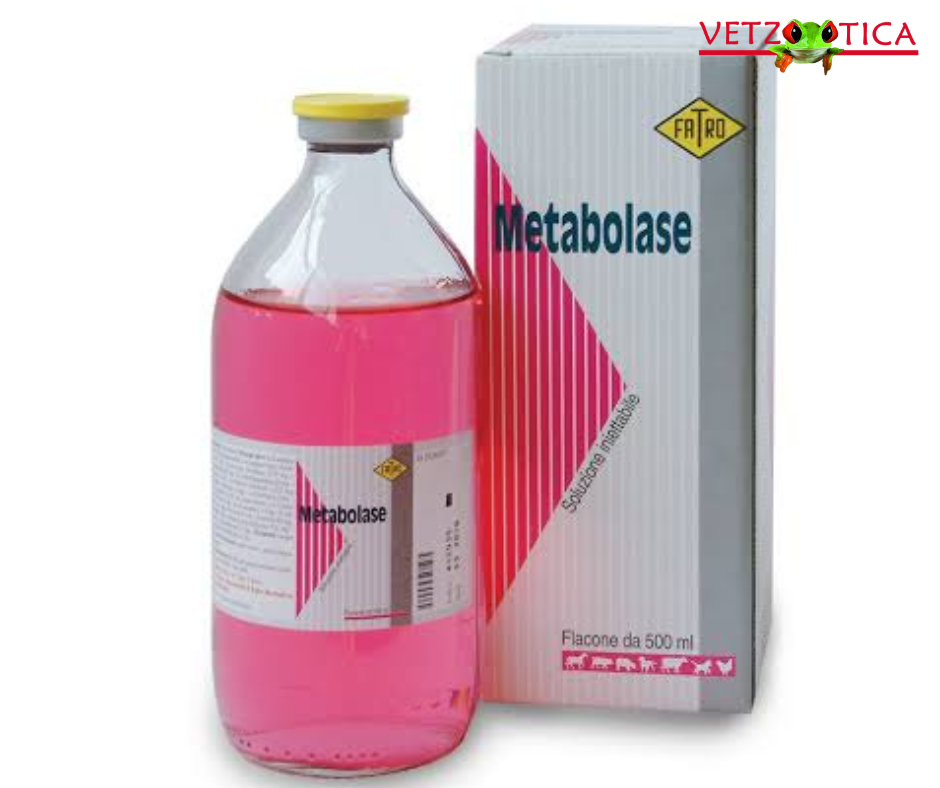 Metabolase® – Desintoxicante y Reconstituyente