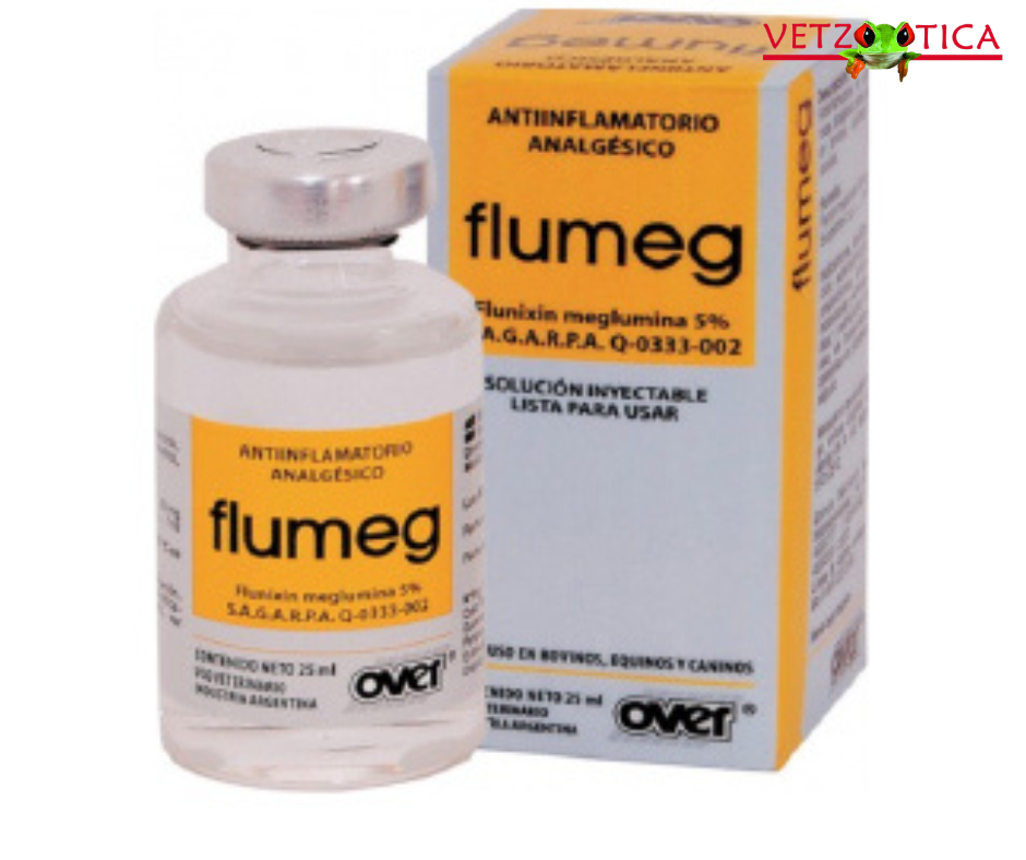 Flumeg Inyectable