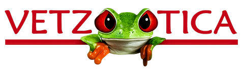 Logotipo de VETZOOTICA con una rana verde posada sobre la palabra, texto rojo y subrayado.