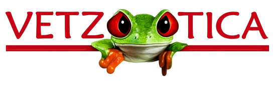 Logotipo de VETZOOTICA con una rana verde posada sobre la palabra, texto rojo y subrayado.
