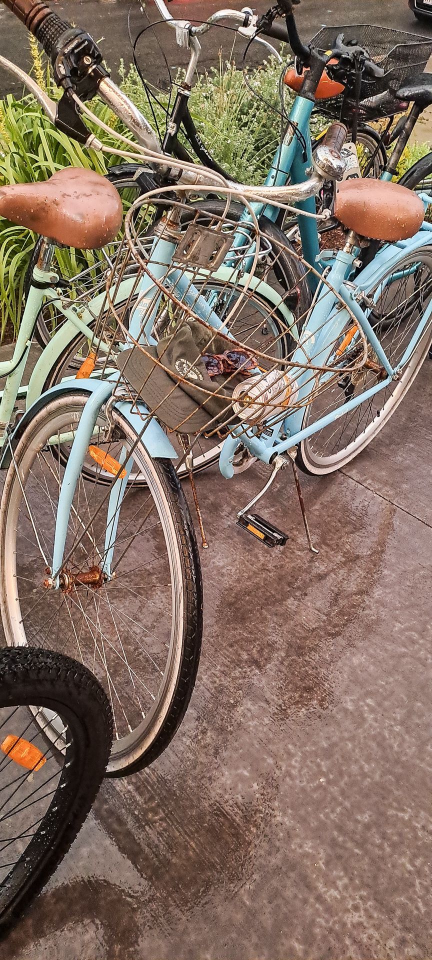 Several light blue cruiser-style bicycles with brown seats and baskets are parked outdoors on a paved surface.