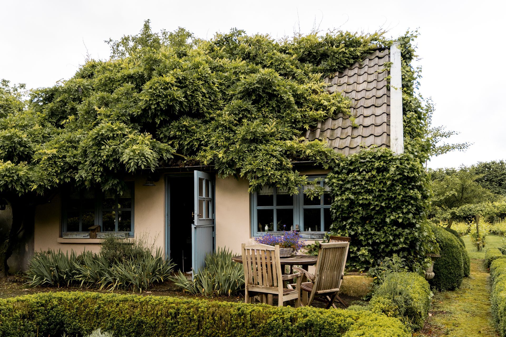 Een huisje overwoekerd met groen, een lichtblauwe deur die openstaat, een klein tafeltje met stoelen op het terras, hagen in de tuin.