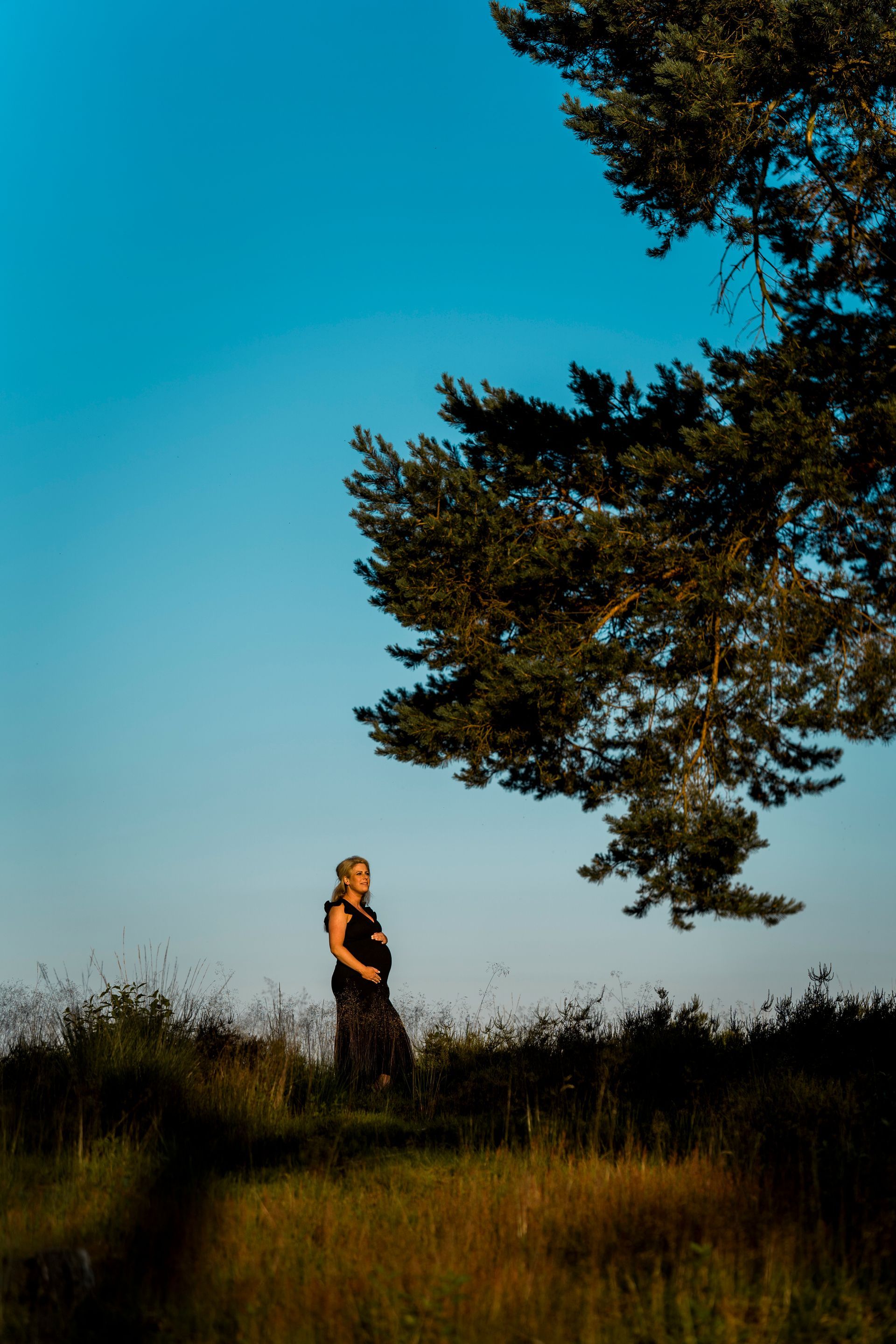 Een zwangere vrouw staat bij een boom, met een blauwe lucht op de achtergrond.