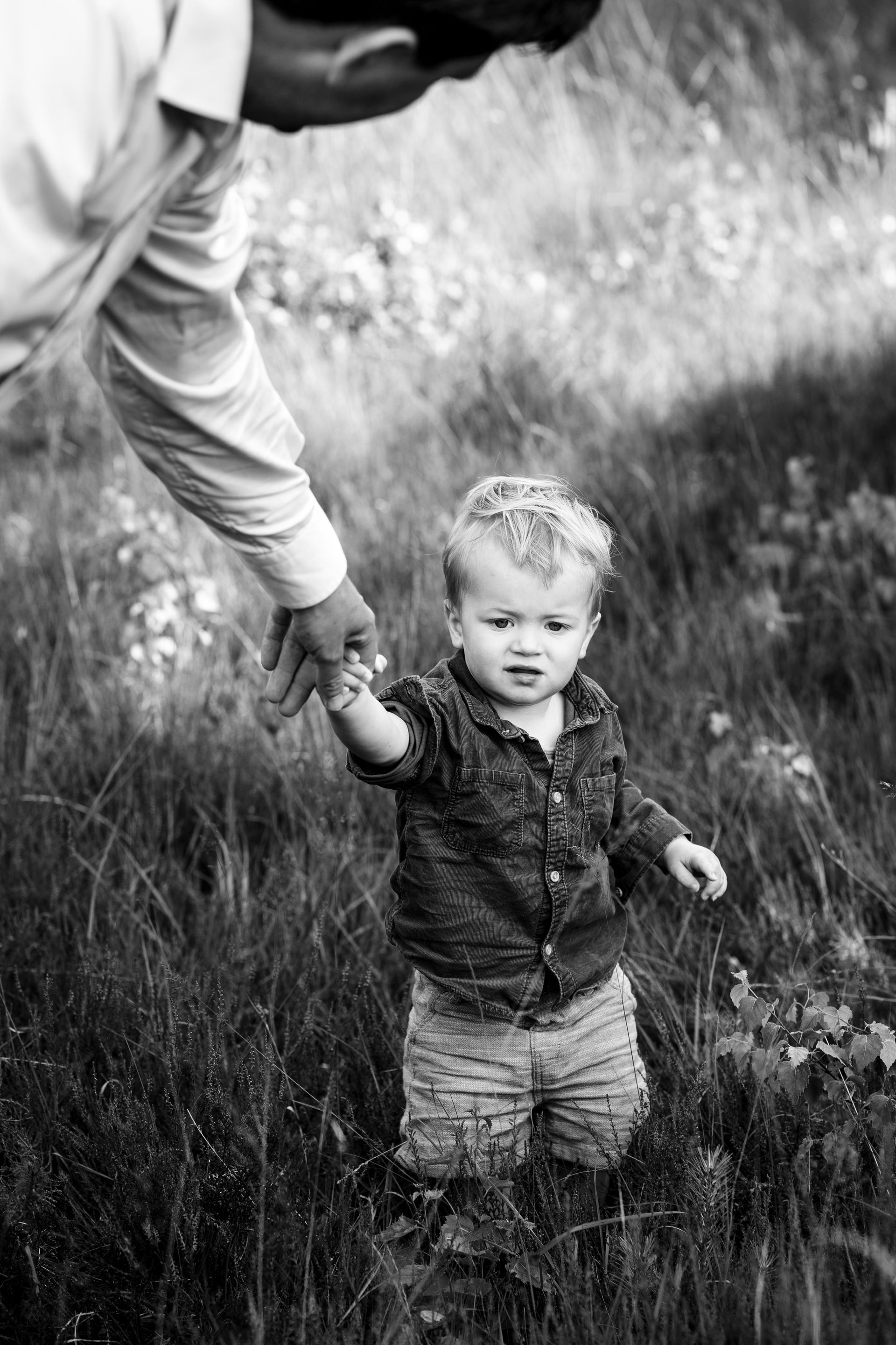 Een hand van een volwassene die de hand van een peuter vasthoudt tijdens een wandeling door hoog gras. Zwart-witfoto.
