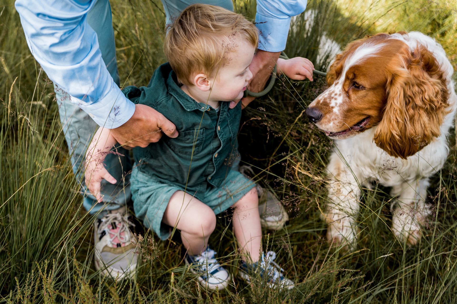 Iemand helpt een peuter in het hoge gras te zitten, terwijl een hond toekijkt.