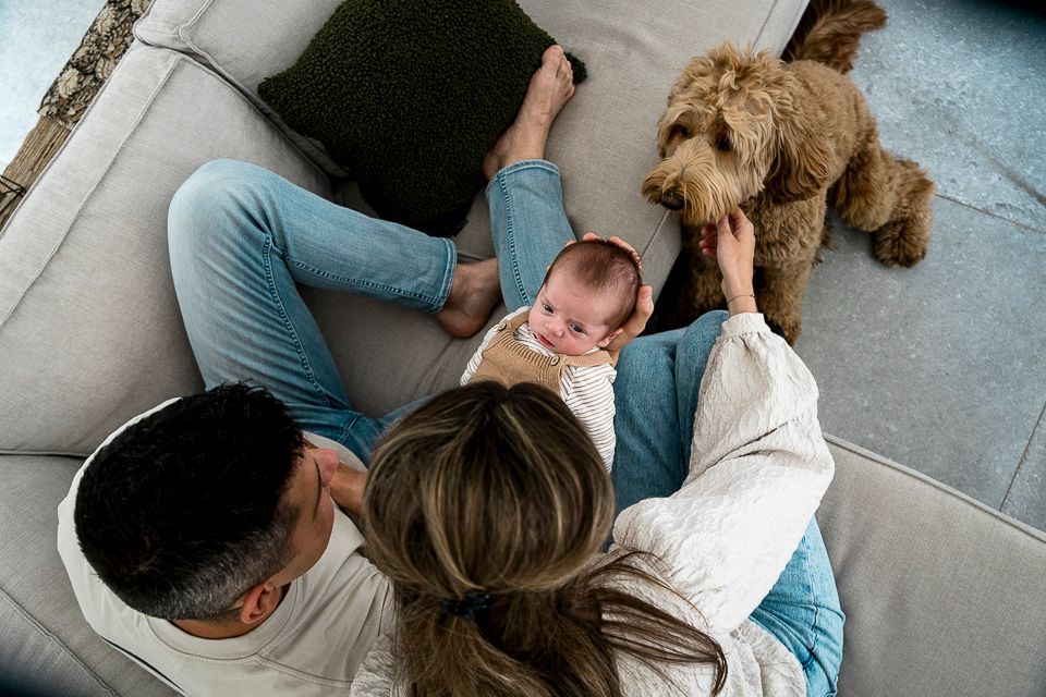Een gezin op de bank met een pasgeboren baby en een goldendoodle.