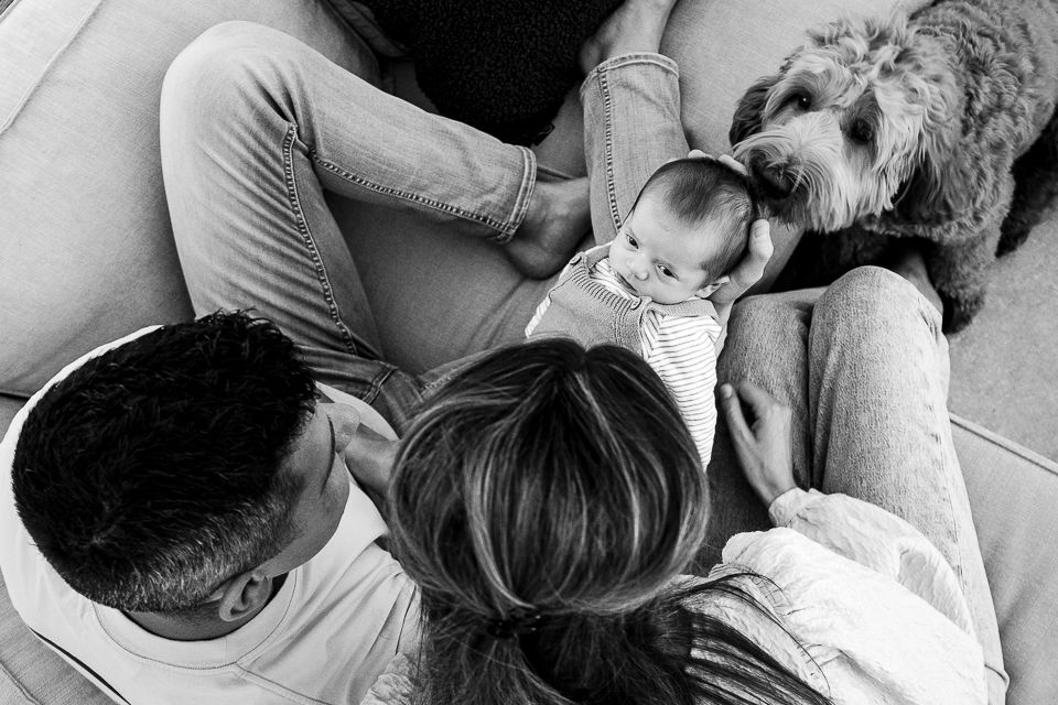 Een gezin met een pasgeboren baby en een hond knuffelt op de bank. De hond snuffelt aan de baby.