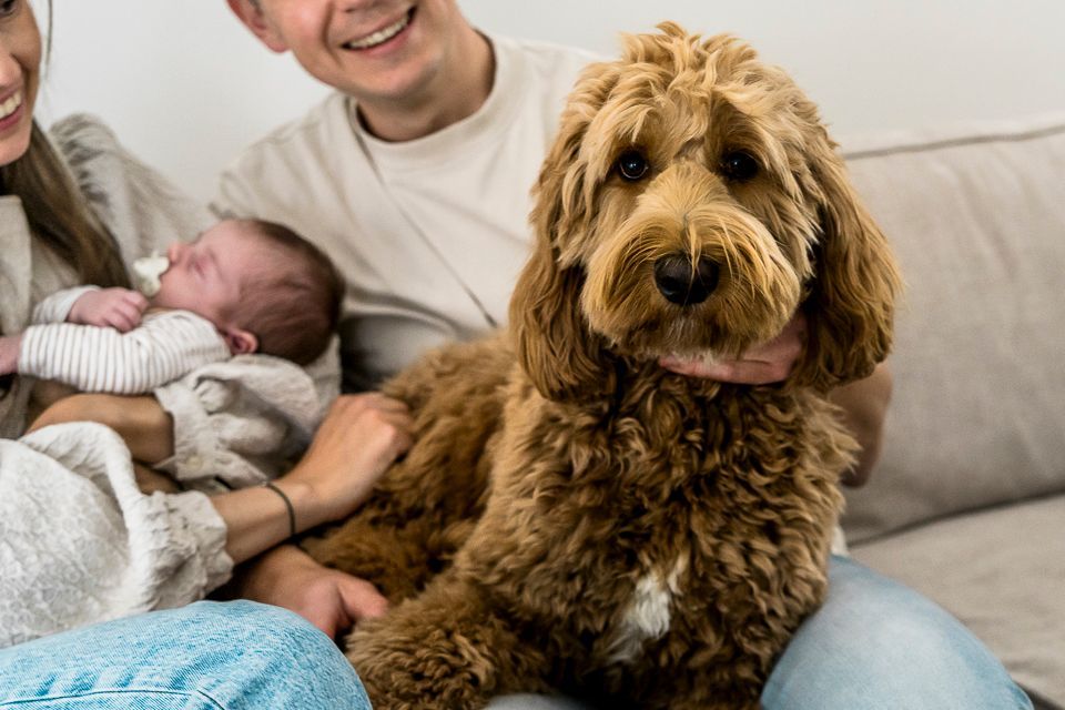 Een gezin van drie met een hond zit op de bank. De hond kijkt naar de camera. De moeder houdt de baby vast.