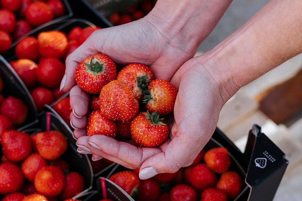 Handen houden verse, rijpe aardbeien vast boven een bak gevuld met nog meer aardbeien.