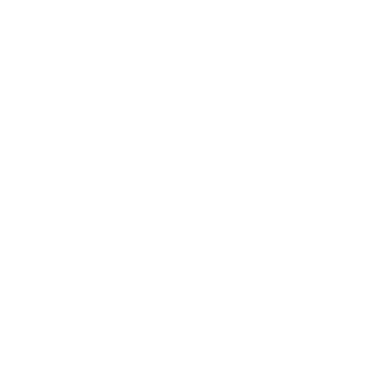 safety lock