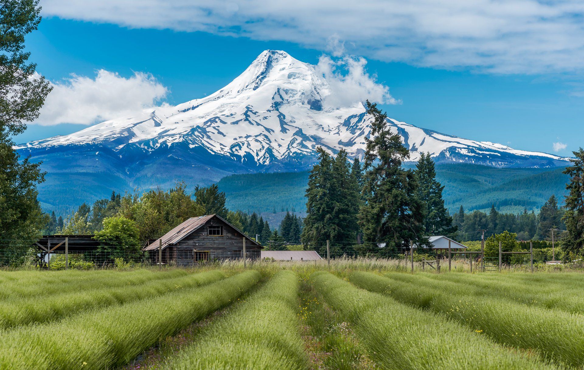 Mountain view