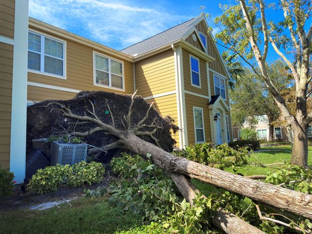 A fallen tree rests against a two-story building after a storm, with blue sky visible.
