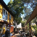 Workers on ladders painting a yellow house exterior beside a tall wooden pergola and trees.