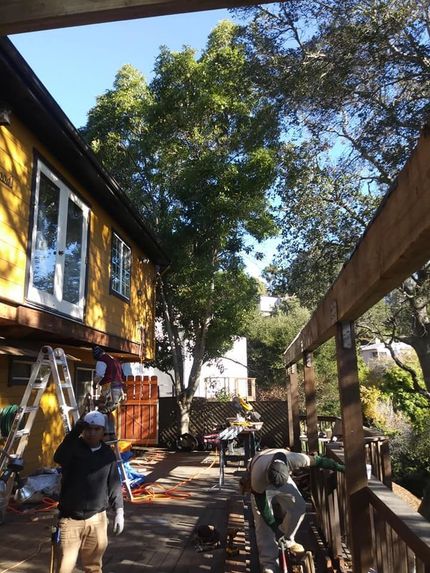 Outdoor walkway beside yellow buildings with people working under trees and bright sunlight