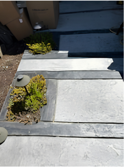 Outdoor concrete steps with white covers and small shrubs in a planter box