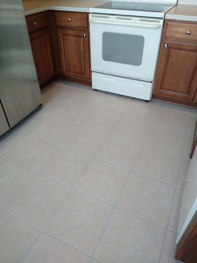 Carpet Cleaning Projects Wesley Chapel, FL Heaven's Best Carpet