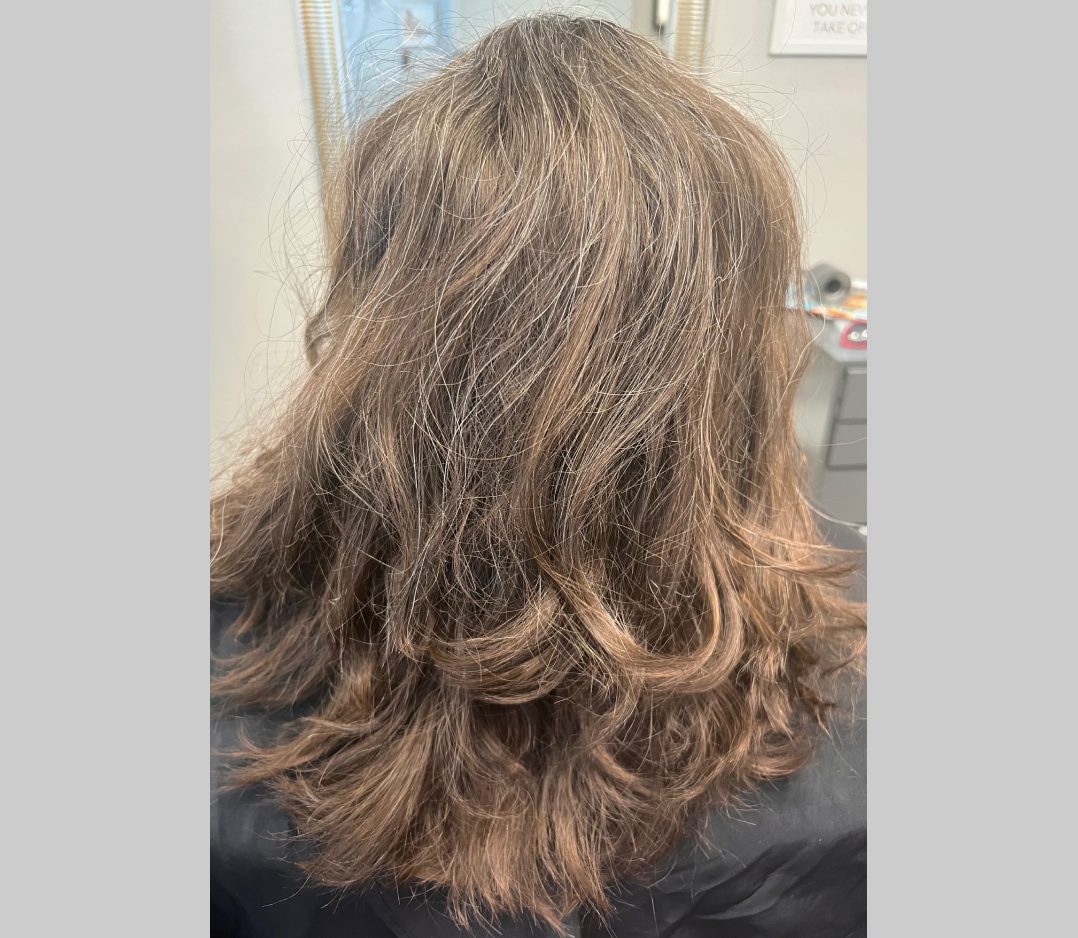 Before picture of a woman's brown hair. It looks curly and messy.