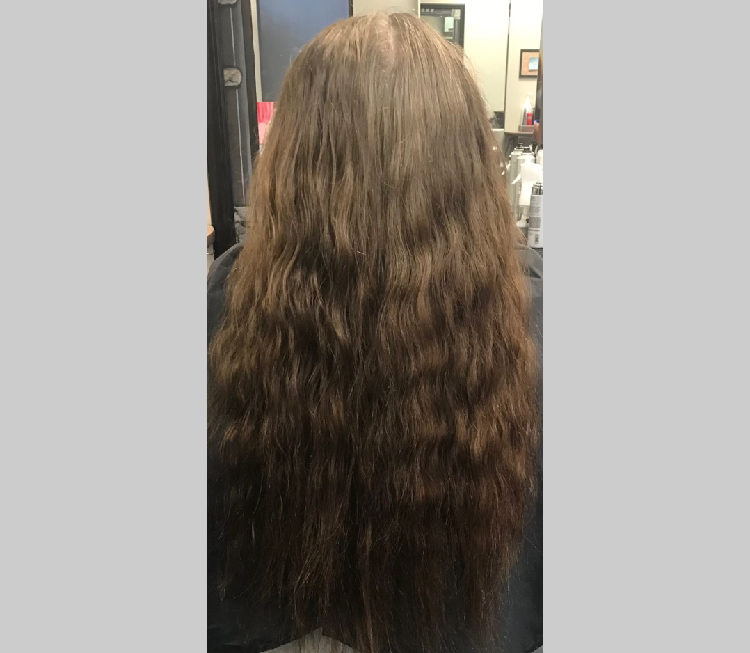 Long brown hair that looks bland and drab. This is a before picture.